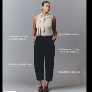 Everlane Barrel Jean Pants